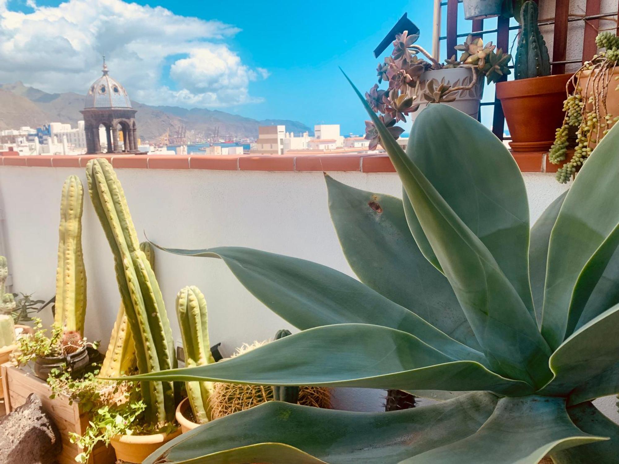 Atico Con Terraza, Vistas Panoramicas Y Parking Lägenhet Santa Cruz de Tenerife Exteriör bild