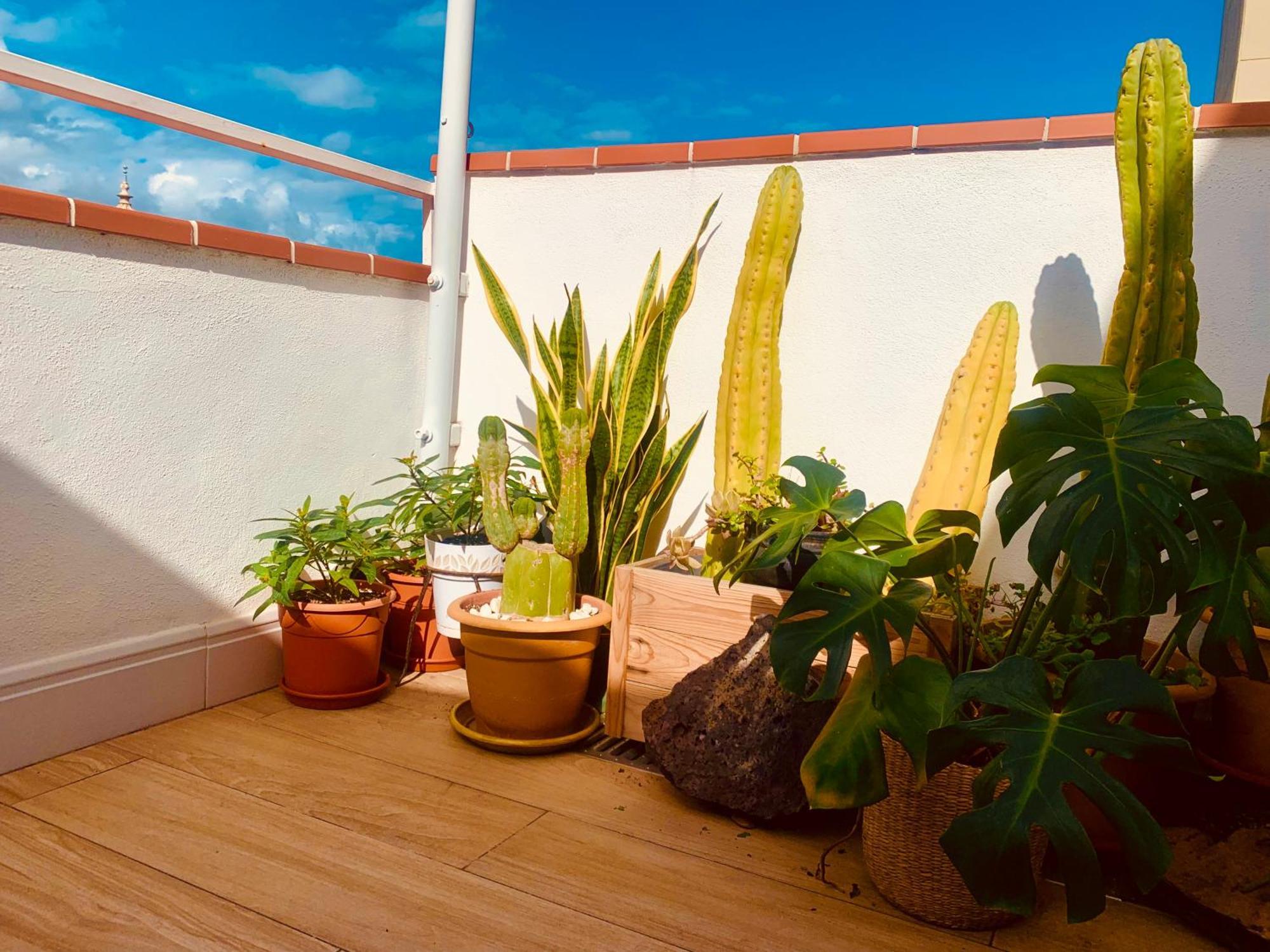 Atico Con Terraza, Vistas Panoramicas Y Parking Lägenhet Santa Cruz de Tenerife Exteriör bild